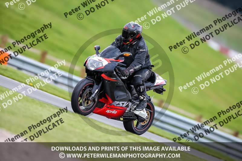 PJ Motorsport 2019;donington no limits trackday;donington park photographs;donington trackday photographs;no limits trackdays;peter wileman photography;trackday digital images;trackday photos